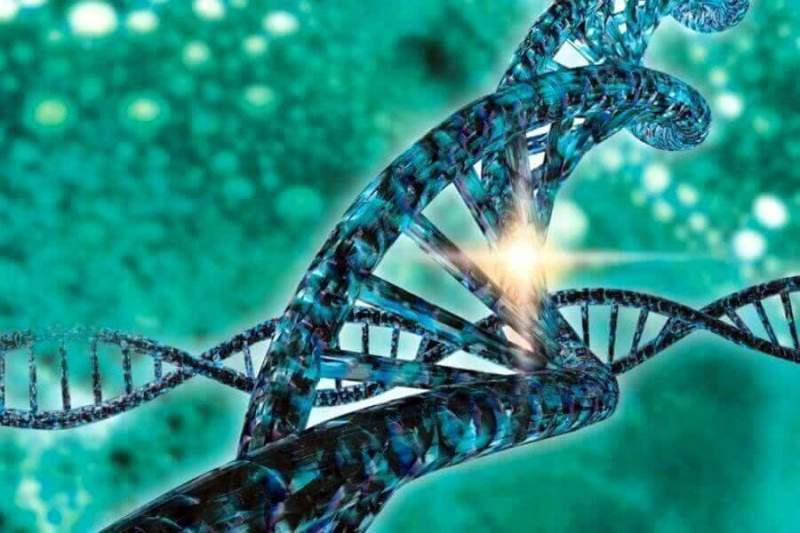 ЕПВ приняло решение о выдаче Merck патента на технологию CRISPR